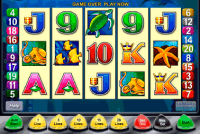 why should you take time to bet on 5-reel slots