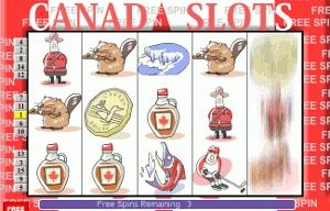 Which online casinos in Canada offer great slots?