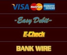 Online payment methods at he Spartan Slots operator!